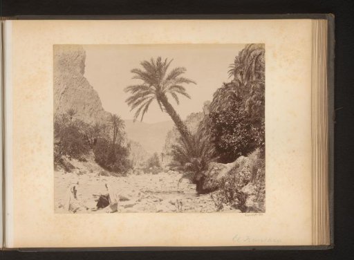 Two men by a riverbed with rocks and palms