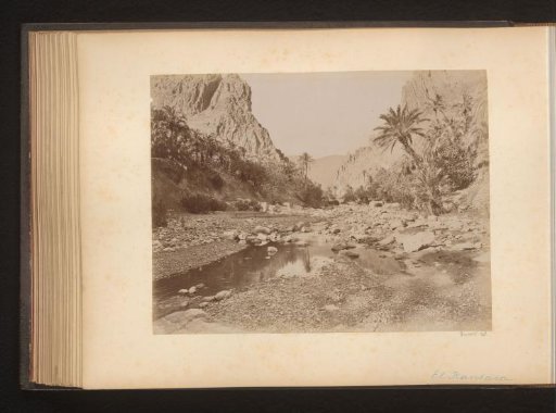 Riverbed with rocks and palms