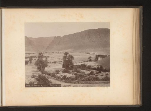 View of Biskra