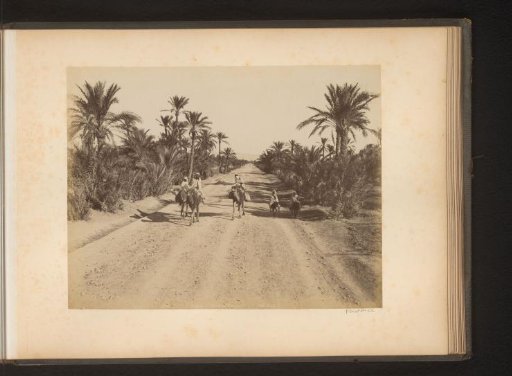 People riding dromedaries and donkeys in the vicinity of Biskra