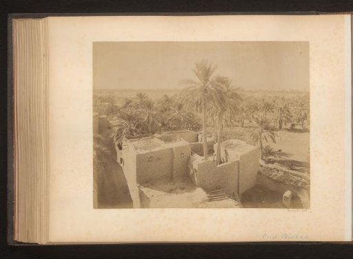 Brick house with palm trees at Biskra