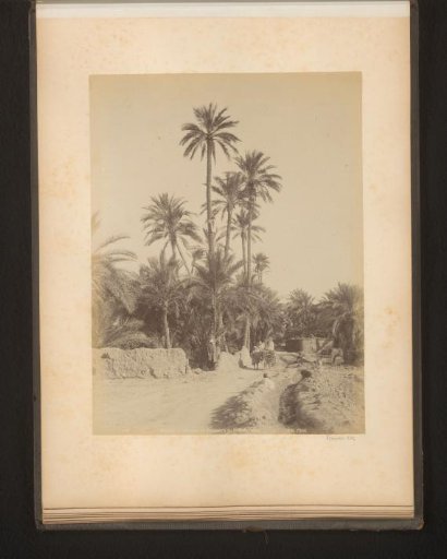 Figures on a path near Biskra