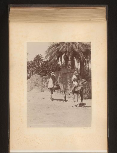 Two men on dromedaries