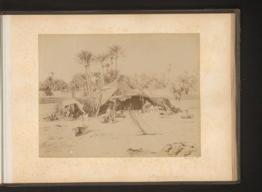 Children in a room with palm trees in the background