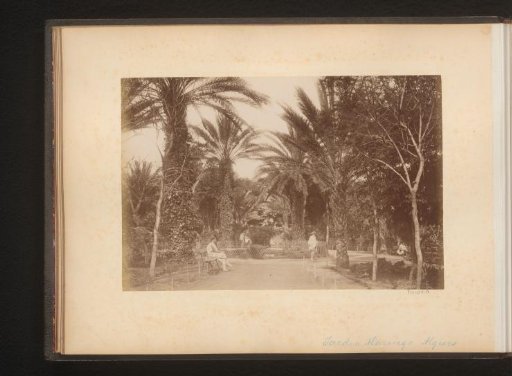 Two men in Jardin Marengo in Algiers