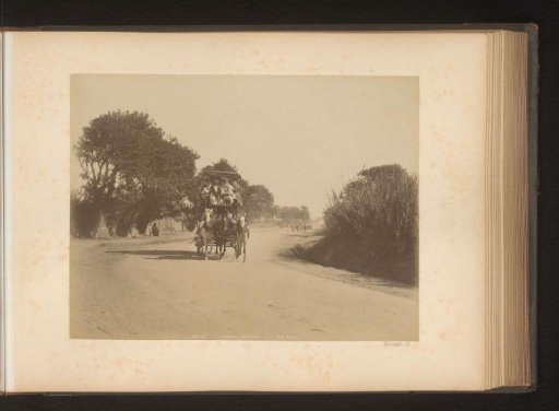 Cart drawn by horses on a path