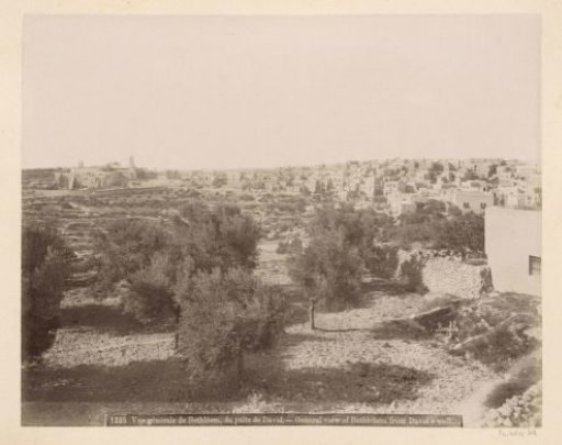 View of Bethlehem from the Pool of David