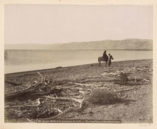Rider and man on the shore of the Dead Sea with washed-up branches in the foreground