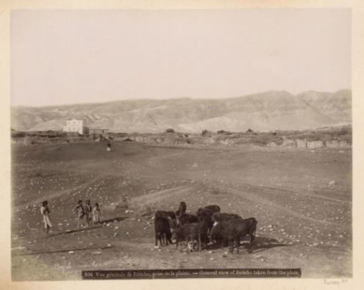 View of Jericho from the plain, on the left the Jordan Hotel, in the foreground children with a flock