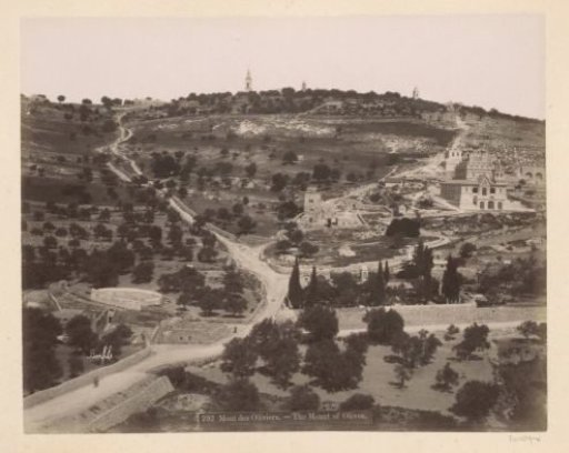 View of the Mount of Olives in Jerusalem