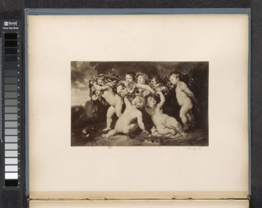 Photographic reproduction of (probably) a print after a painting by Peter Paul Rubens, depicting putti with fruit