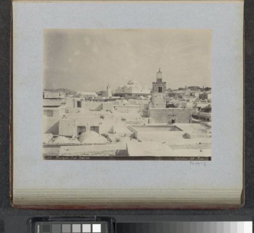 View of Tunis with the domes of the Sidi Mahrez Mosque in the background