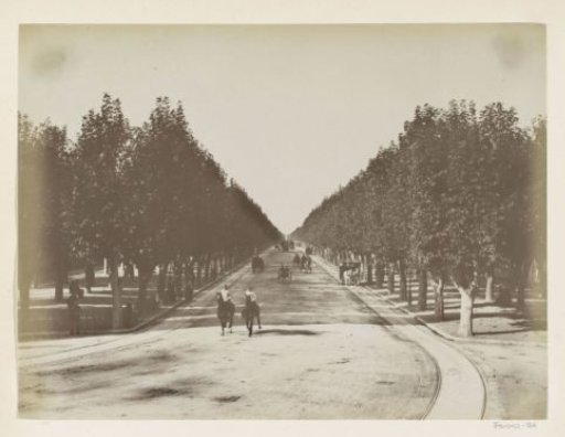 Avenue with riders, presumably in Marseille