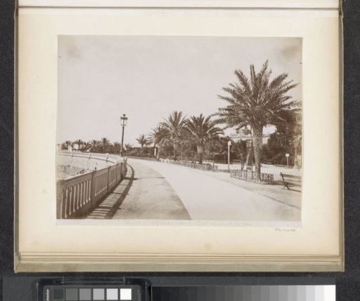 View of the Quai des Palmiers in Nice
