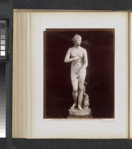 Statue of Venus de' Medici in the Uffizi, Florence