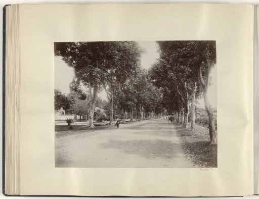 Avenue with passers-by and a carriage, possibly on Sumatra