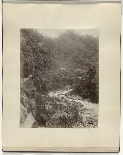 Stream in a jungle, possibly in Sumatra