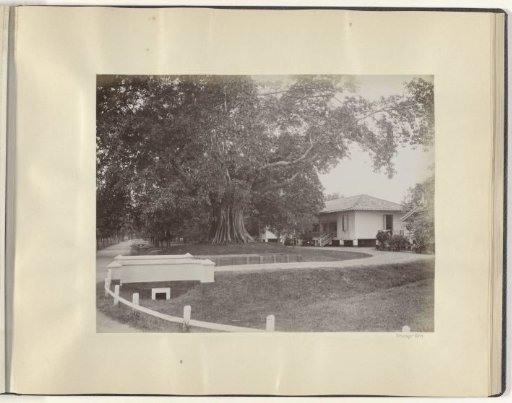 Driveway to a villa in the Dutch East Indies