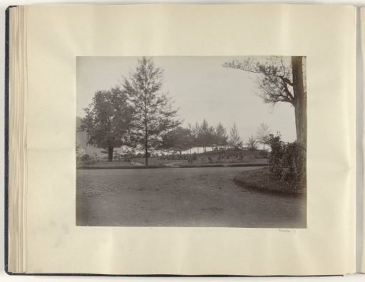 Road in (possibly) a park in the Dutch East Indies