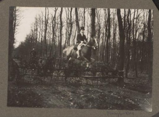 Equestrian scene at the Royal Game Preserve Het Loo: rider taking an obstacle in a forest