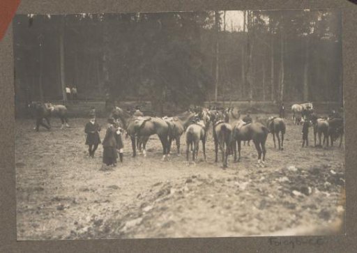 Equestrian scene at the Royal Game Preserve Het Loo: horses and riders by a forest