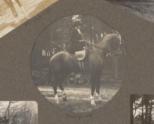 Equestrian scene at the Royal Woodlands of Het Loo: woman on horseback in riding habit