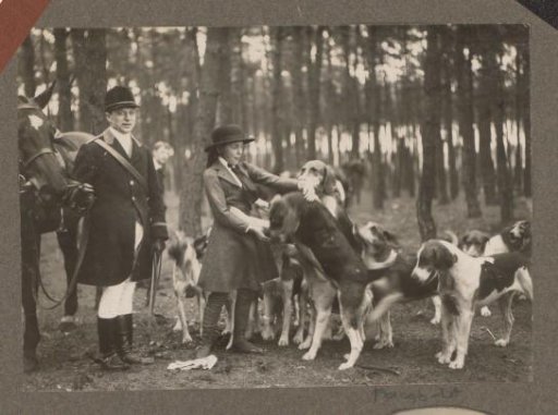 Equestrian scene at the Royal Woodlands of Het Loo: girl playing with hunting dogs