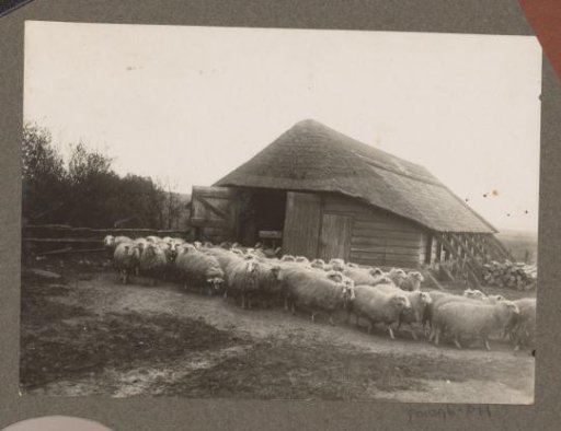 Equestrian scene at the Royal Woodlands of Het Loo: flock of sheep near a sheepfold