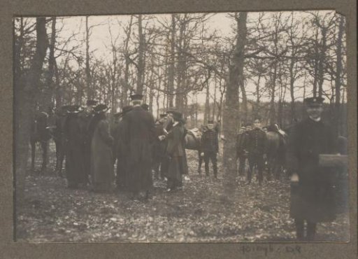 Equestrian scene at the Royal Woodlands of Het Loo: company with riders and uniformed men in a wood