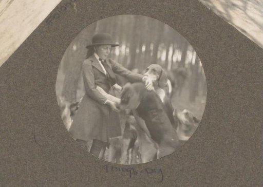 Equestrian scene at the Royal Woodlands of Het Loo: girl playing with hunting dogs