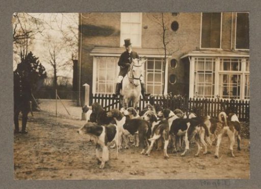 Equestrian scene at the Royal Hunting Lodge Het Loo: rider on a grey horse amidst a pack of hounds