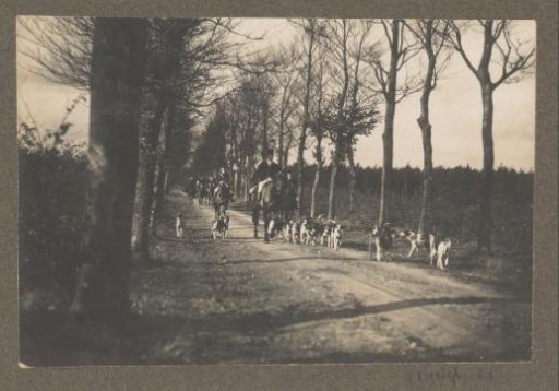 Equestrian scene at the Royal Forest Management Het Loo: riders with a pack of hounds on a country road