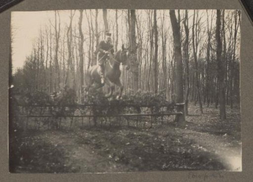 Equestrian scene at the Royal Forest Management Het Loo: rider takes an obstacle on a forest path