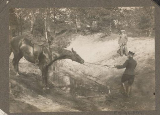 Equestrian scene at the Royal Forest Management Het Loo: rider leads horse around a water