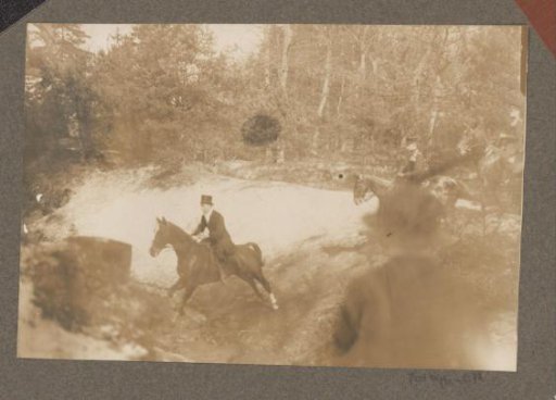 Equestrian scene at the Royal Forest Management Het Loo: riders take a ditch in a wood