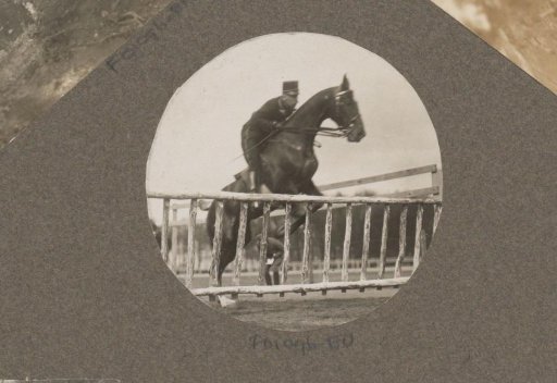 Equestrian scene at the Royal Forest Management Het Loo: rider takes an obstacle