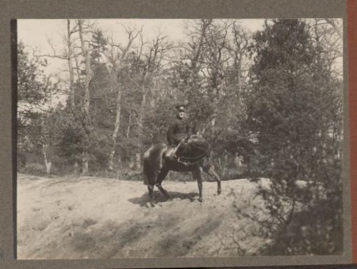 Equestrian scene at the Royal Forest Management Het Loo: rider on a sandbank