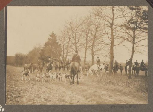 Equestrian scene at the Royal Forest Management Het Loo: riders with a pack of hounds in the field
