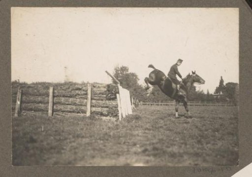 Equestrian scene at the Royal Forest Management Het Loo: uniformed rider takes an obstacle