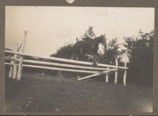 Equestrian scene at the Royal Forest Management Het Loo: rider takes an obstacle