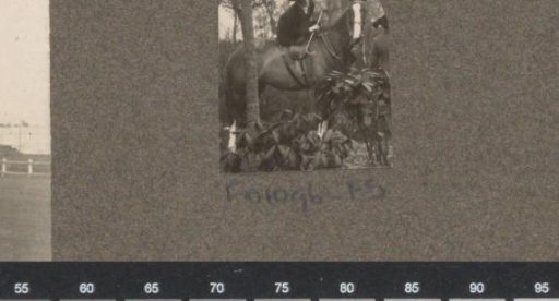 Equestrian scene at the Royal Forestry Department Het Loo: female rider in side-saddle in a forest
