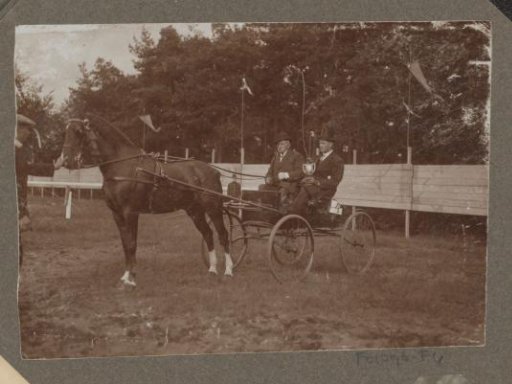 Equestrian scene at the Royal Forestry Department Het Loo: numbered two-person horse carriage on a grass field