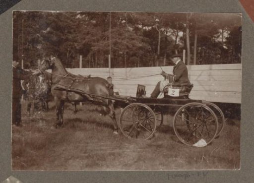Equestrian scene at the Royal Forestry Department Het Loo: numbered one-person horse carriage on a grass field
