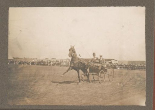 Equestrian scene at the Royal Forestry Department Het Loo: numbered two-person horse carriage on a grass field