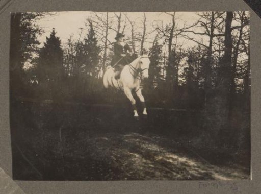 Equestrian scene at the Royal Forestry Department Het Loo: rider taking an obstacle in side-saddle