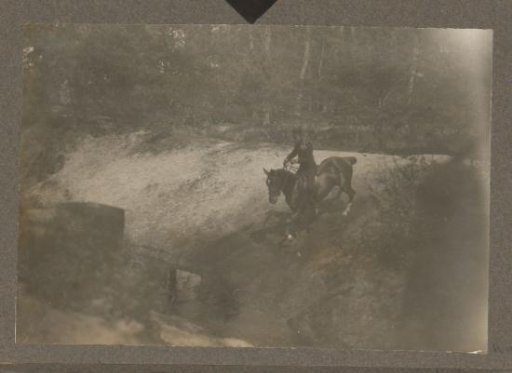 Equestrian scene at the Royal Forestry Department Het Loo: uniformed man on horseback taking a ditch in a forest