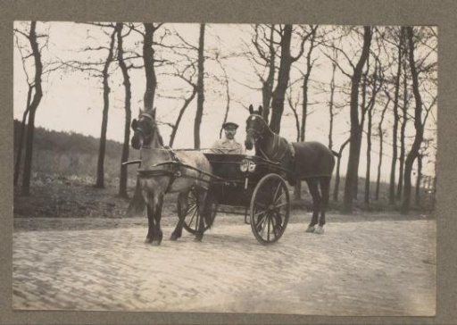 Equestrian scene at the Royal Forestry Department Het Loo: man in carriage with harnessed horse and horse behind on a cobblestone road
