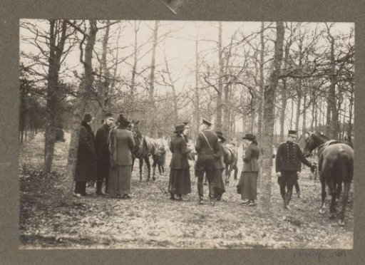 Equestrian scene at the Royal Forest Estate Het Loo: riders and public in a forest