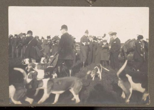 Equestrian scene at the Royal Forest Estate Het Loo: public with a pack of hounds marked 'KV'