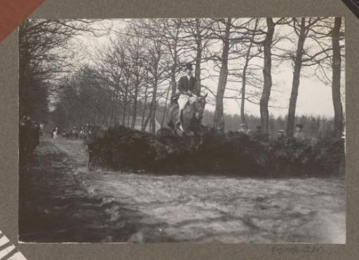 Equestrian scene at the Royal Forestry Het Loo: rider taking an obstacle on a country road